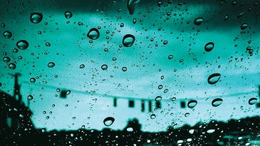 Photo of the Day: Wednesday December 16 2009
