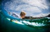 Today's Photo of the Day was captured by Markolf Zimmer in Tamarama, Sydney. Markolf captured this partial underwater image using gear from Aqua Tech Imaging Solutions. See more of Markolf's work<a href="http://www.flickr.com/photos/markolfzimmer/"> here. </a> Want to see your work featured as Photo of the Day? Submit to our <a href="http://www.flickr.com/groups/1614596@N25/pool/page1">Flickr group.</a>