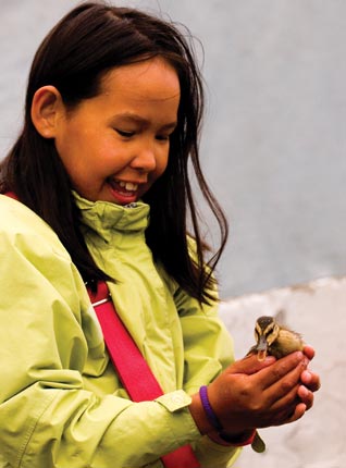 Conquer-the-World-Sisimiut-Greenland