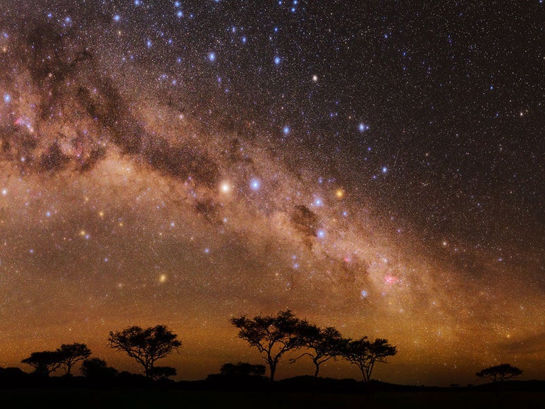 Night on the Serengeti