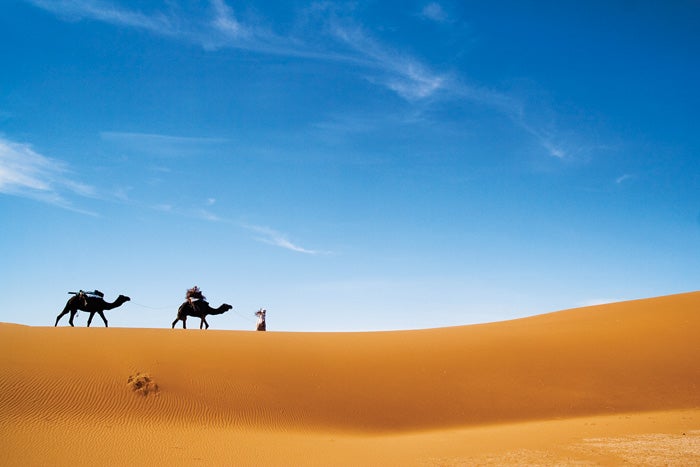 Moroccan Sahara