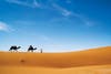 Moroccan Sahara