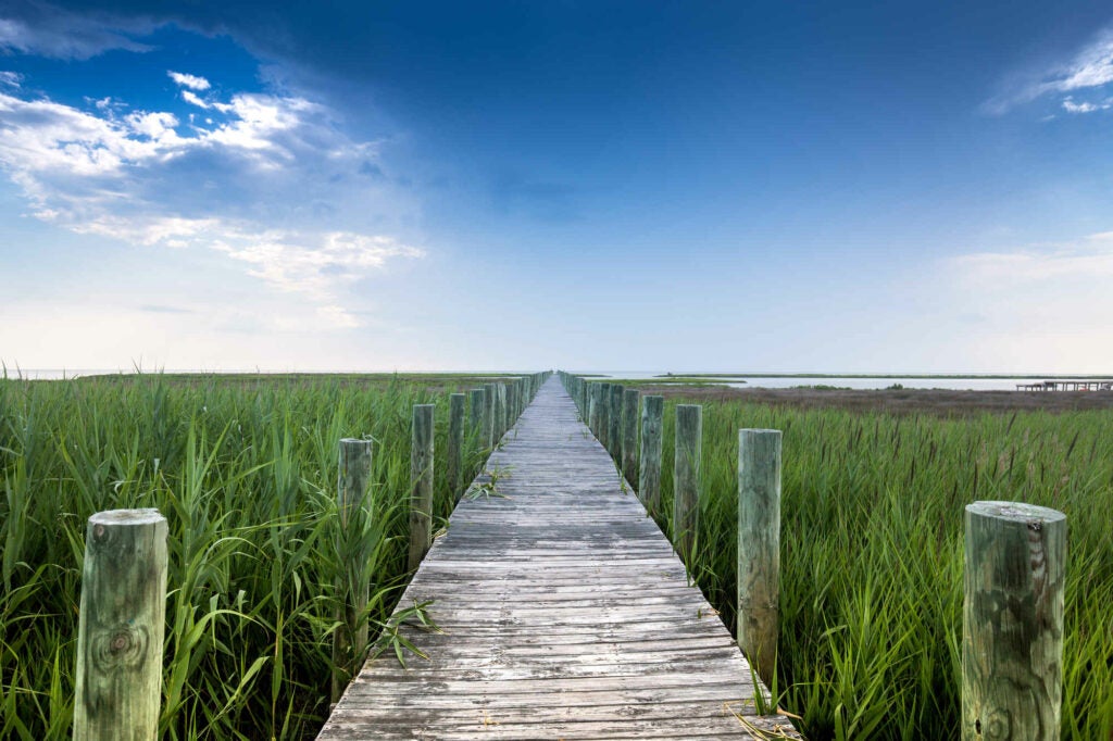 Last walk down the long pier while on vacation to OBX. Canon 6D with Canon EF16-35mm f/4L. 1/125 sec at f8.0 ISO 100. Adjustments made in lightroom CC