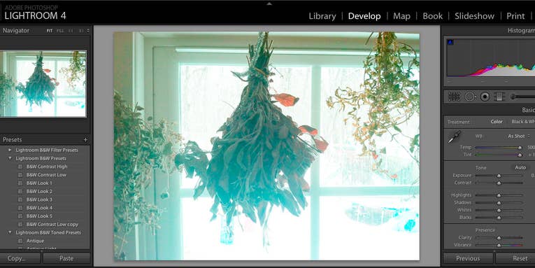 Digital Negative App Promises True Uncompressed Photo Files From iPhone Digital Negative App Promises True Uncompressed Photo Files From iPhone