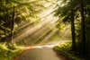 The redwood forests along the California coast will provide dramatic photos if you'll just wait a little while. That was the case this morning while driving through the forest.
Nikon D800, Nikkor 28-300mm lens, ISO 140, 1/30 sec at f4.2, Vanguard tripod and head.