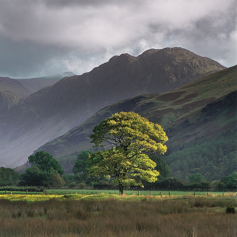 Buttermere, Cumbria, U.K.