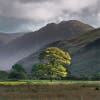 Buttermere, Cumbria, U.K.