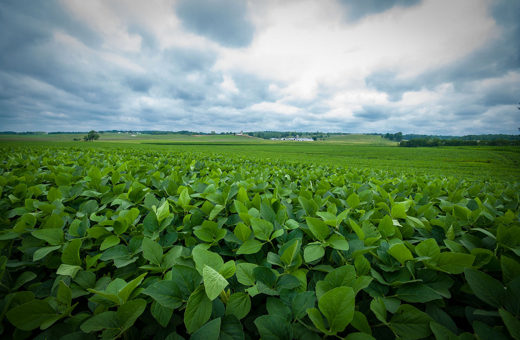 Today's Photo of the Day was captured by Neil Kesterson in Jackson, Ohio with a Pentax K20D at 1/250 sec, f/9.5 and ISO 400. See more work <a href="https://www.flickr.com/photos/neilkesterson/">here.</a>