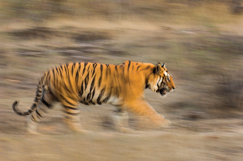Photography Tips photo