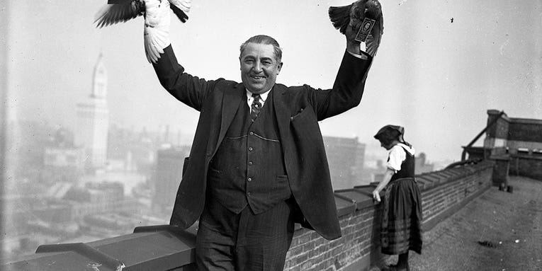 Gangsters & Grifters: Classic Crime Photos from the Chicago Tribune Gangsters & Grifters: Classic Crime Photos from the Chicago Tribune