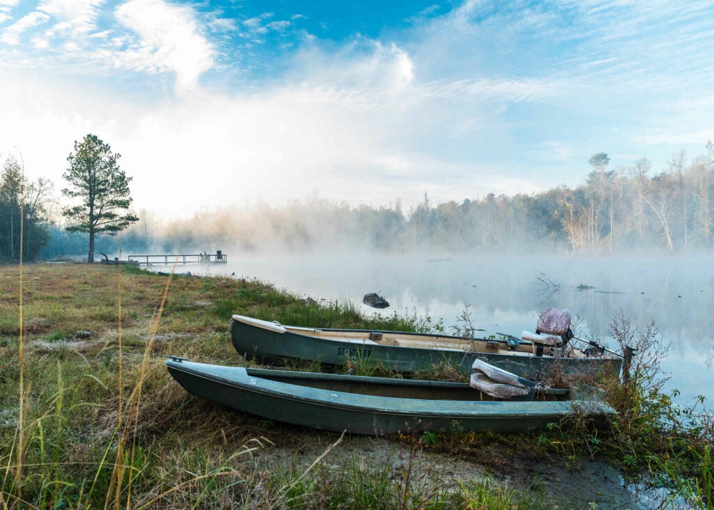 Shot on a cold Fall morning with a Nikon D3, and a Nikon 70-200 f2.8 lens...