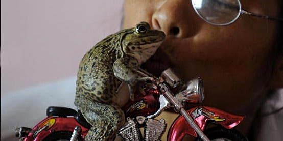 Life Compiles Gallery of Strangest Kissing Moments
