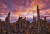 Today's Photo of the Day comes from Raja Ramakrishnan and was taken near Mono Lake in California's Eastern Sierras. "This was taken facing west as fleeting colors lasted over the west just for few mins before fading out that evening," Ramakrishnan writes of the image. See more work <a href="https://www.flickr.com/photos/rajaramki/">here. </a>