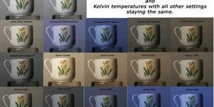 Photography 101: White Balance Photography 101: White Balance