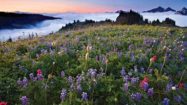 Shooting Guide: Late Summer in Mt. Rainier National Park