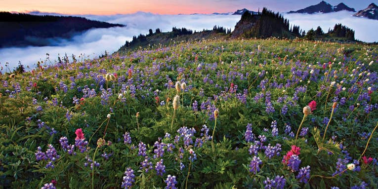 Shooting Guide: Late Summer in Mt. Rainier National Park