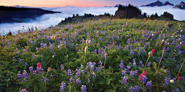 How To: Make Great Nature Photos Late in the Summer