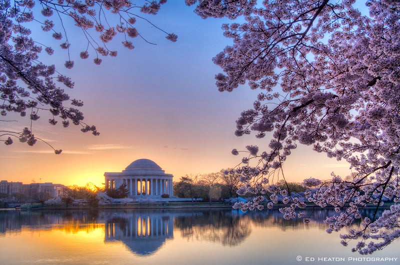 Sunrise at the Tidal Basin in Washington, DC.jpg