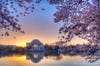 Sunrise at the Tidal Basin in Washington, DC.jpg