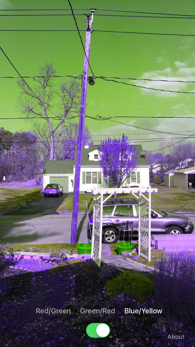 Color Binocular App Uses a Smartphone Camera to Assist the Colorblind