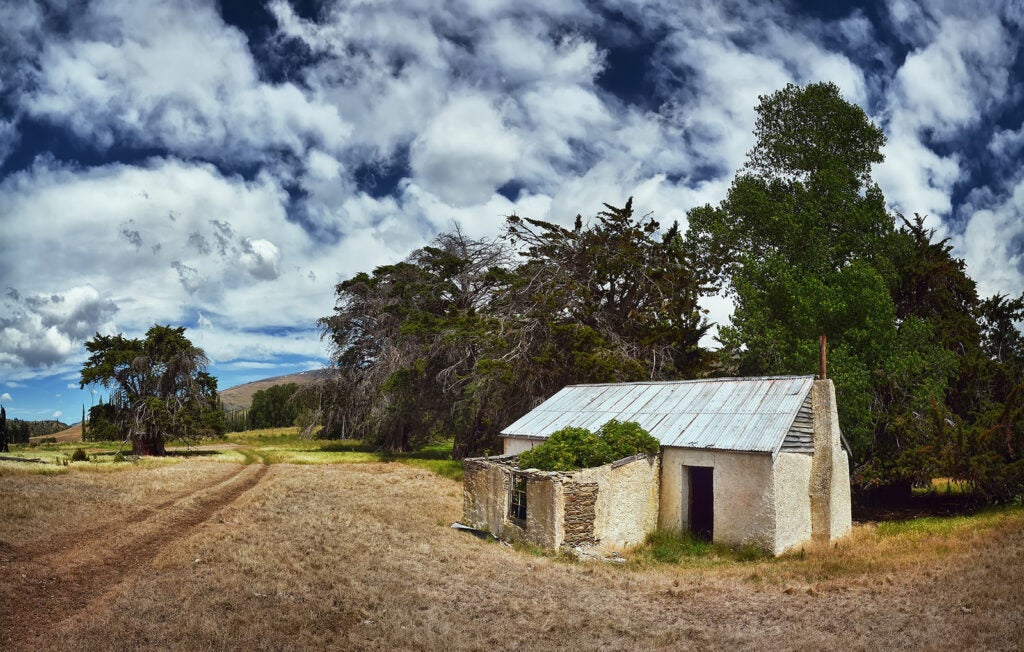 Today's Photo of the Day was captured by Peter Kurdulija in Otago, New Zealand using a Nikon D7100 with a 18-200mm f/3.5-5.6 lens at 1/250 sec, f/9 and ISO 100. See more work <a href="https://www.flickr.com/photos/peter_from_wellington/">here.</a>