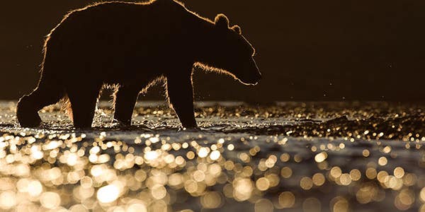 10 tips for using darkness in your photography 10 tips for using darkness in your photography