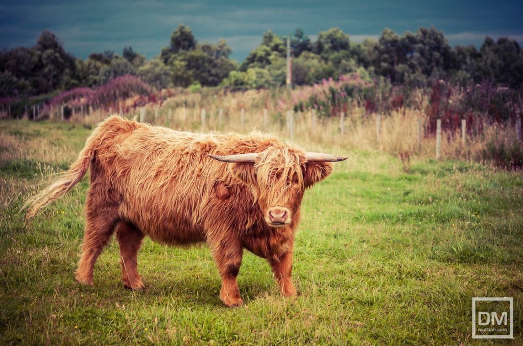 Today's Photo of the Day was taken by Davo Muttiah using a Canon EOS 5D Mark II
with a EF24-105mm f/4L IS USM lens at 1/640 sec, f/4 and ISO 400. See more work<a href="https://www.flickr.com/photos/muttiah/"> here.</a>