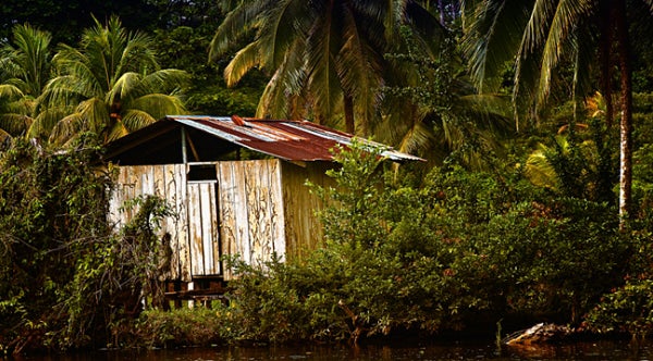 tortuguero-national-park-2.jpg