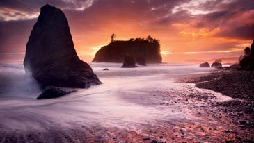 Landscapes: The 5 Big Questions