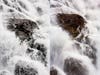 Nature-Extreme-Makeover-WATERFALL-SEQUOIA-NATIO