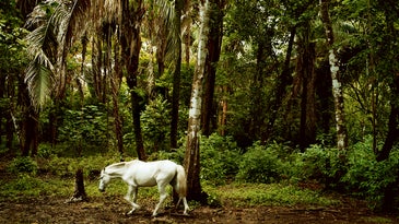 Photo of the Day: Wednesday September 02 2009