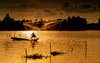 Photo: DUNG TRAN Fishing on River