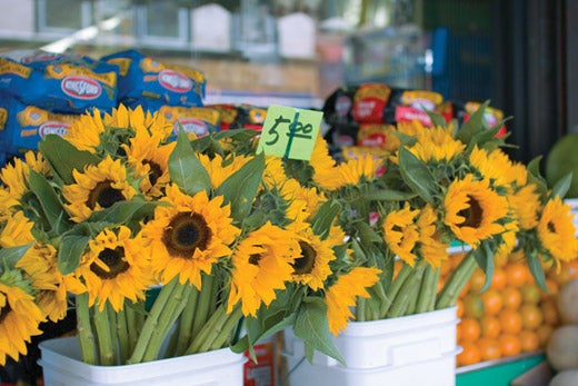 Sigma-SD14-Sunflowers-for-sale-in-one-of-NYC-s-ub