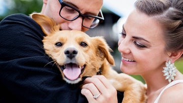 How-To: Include Pets In Wedding and Engagement Portraits