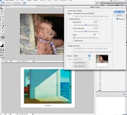 Typepad Import Image