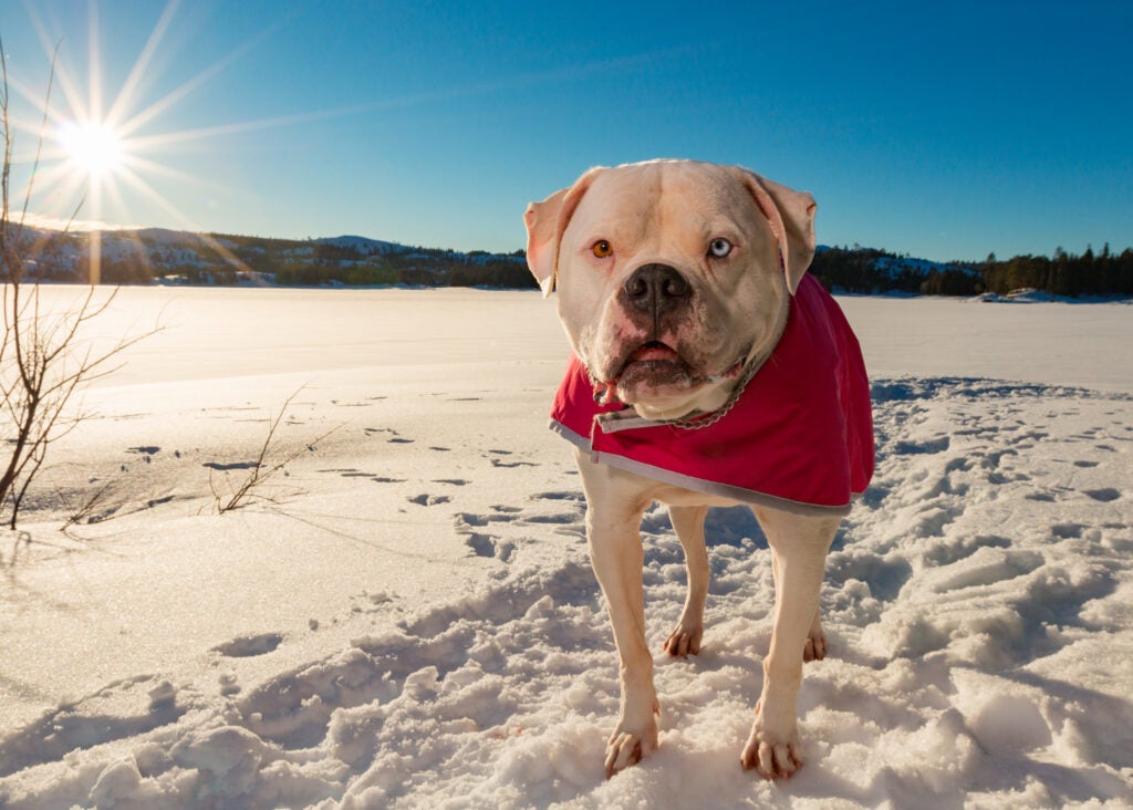 Today's Photo of the Day was captured by Lana David Brooks in Silverlake, California with a Canon EOS 70D
and a EF16-35mm f/2.8L II USM lens at 1/500 sec, f/11 and ISO 100. See more work <a href="https://www.flickr.com/photos/85671648@N03/">here. </a>