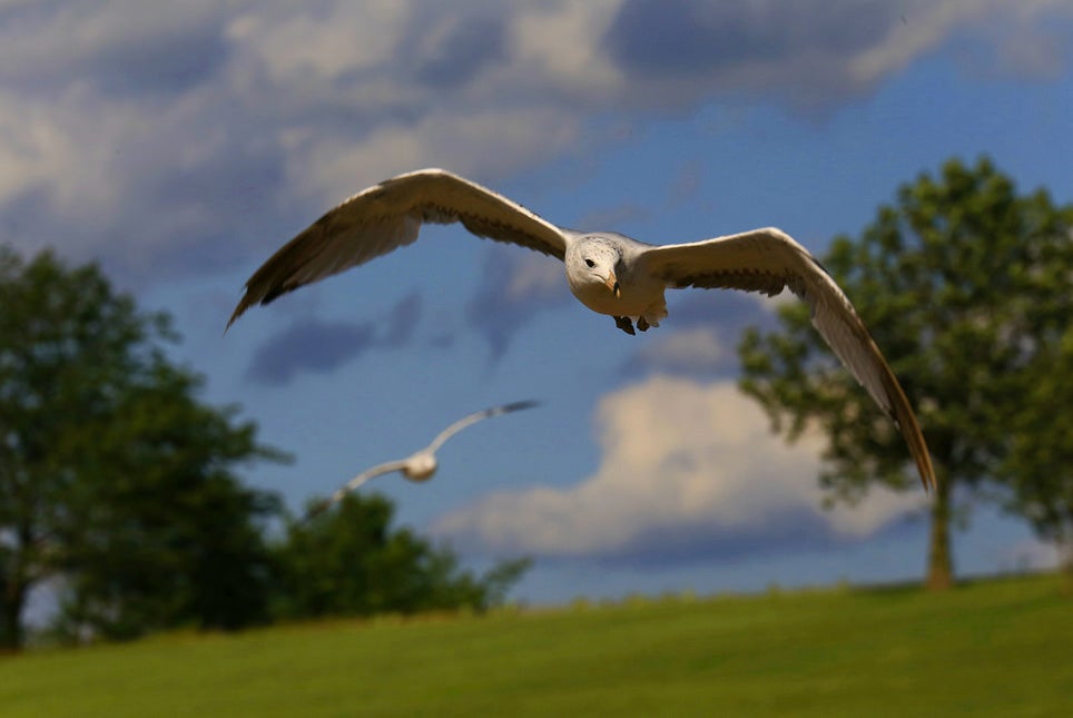 Today's Photo of the Day was captured by Douglas Sacha in Springfield, Ohio. See more of Douglas' work <a href="http://www.flickr.com/photos/droopydogajna/">here. </a>