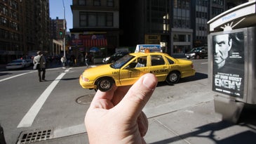 Photo of the Day: Monday November 23 2009