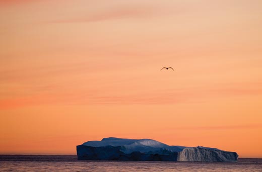 Conquer-the-World-Disko-Bay-Greenland