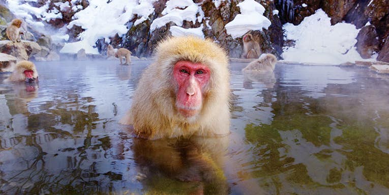 Travel Photography: Winter in Japan Travel Photography: Winter in Japan