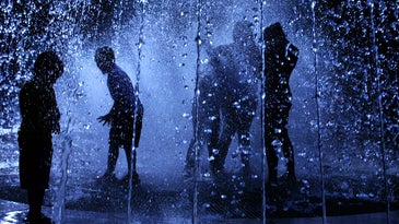 Photo of the Day: Wednesday July 22 2009