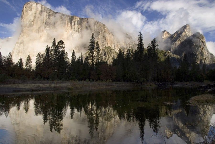 Yosemite National Park 1