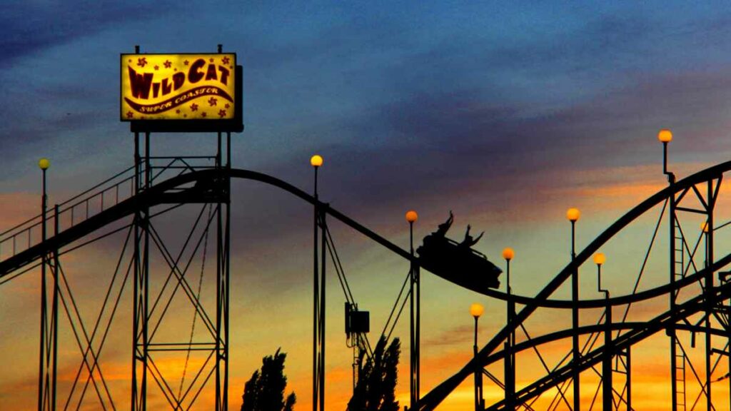 The Wild Cat At The Washington State Fair