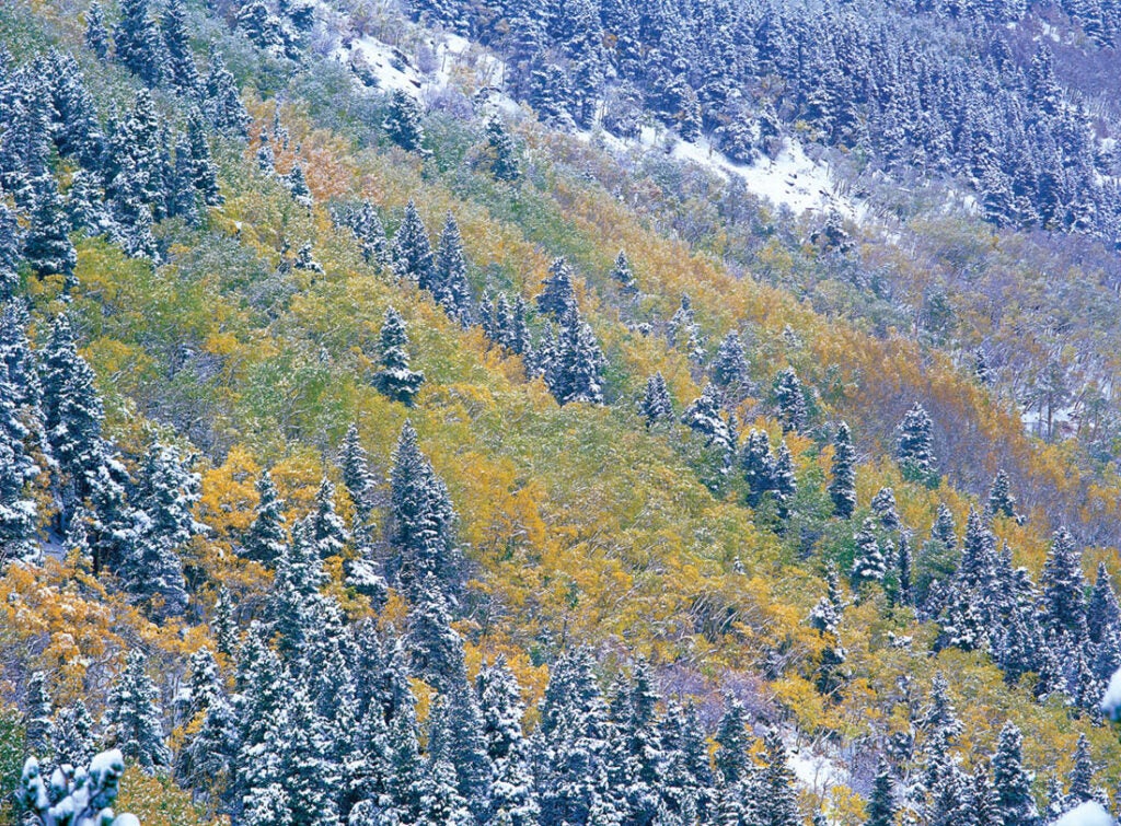 Bonus Image: Rocky Mountain National Park (CO)