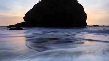 5 Composition Tips For Better Nature Photography