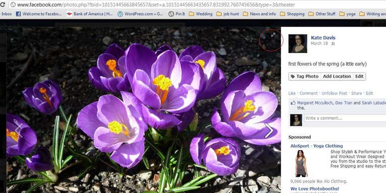 Facebook Trying Again to Make Their Photo Viewer Less Terrible Facebook Trying Again to Make Their Photo Viewer Less Terrible