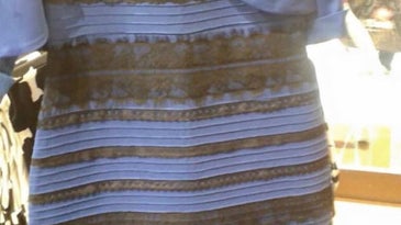 What color is this stupid dress?