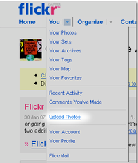 Typepad Import Image