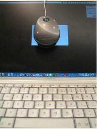 Typepad Import Image