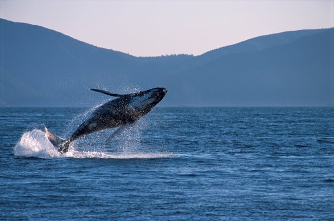 Haida Gwaii, British Columbia